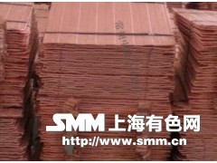我公司供應(yīng)電解銅,鎂錠,鉛錠,鋁錠,鋅錠,錫錠等優(yōu)質(zhì)產(chǎn)品 - 有色商機(jī) - 上海有色網(wǎng)商機(jī)平臺(tái) - 常州市中原金屬材料